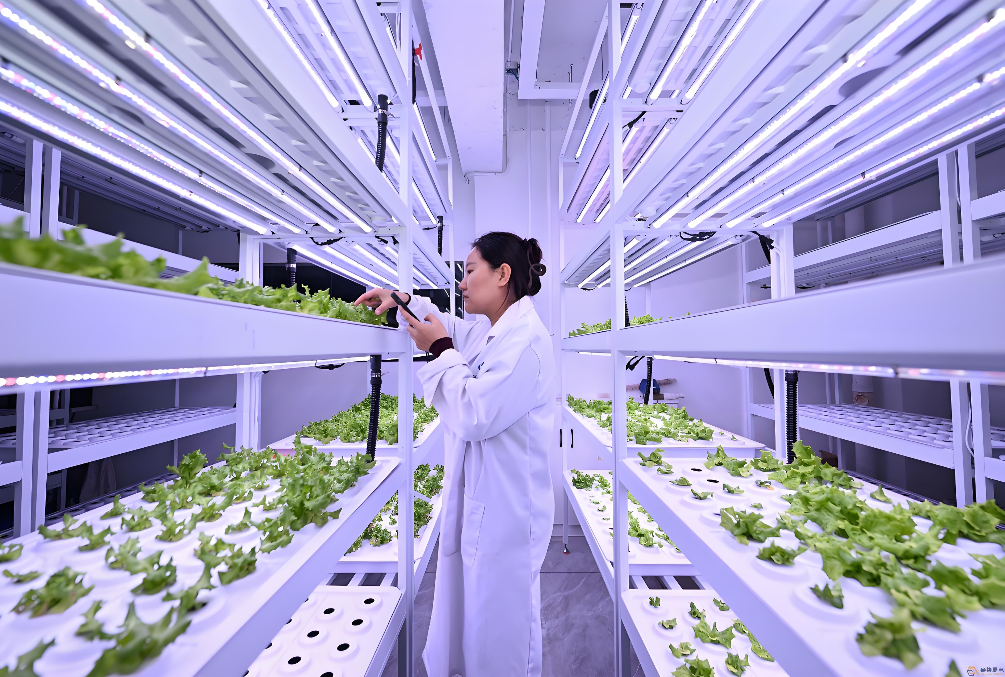 作物生长全周期监测解决方案