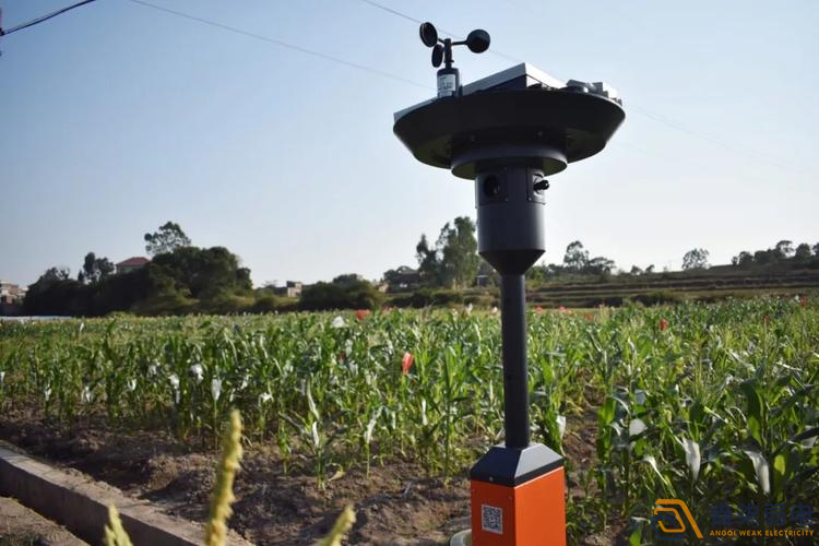 成都弱电公司—智能虫情测报系统，保障植株安全